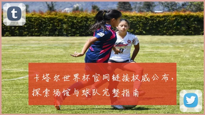 卡塔尔世界杯官网链接权威公布，探索场馆与球队完整指南