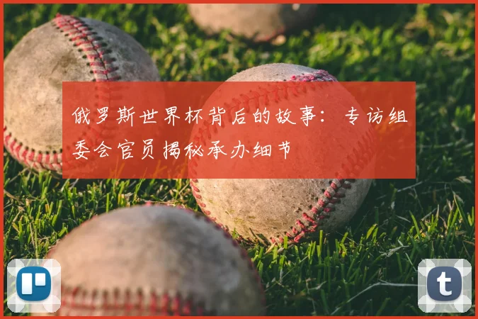 俄罗斯世界杯背后的故事:专访组委会官员揭秘承办细节
