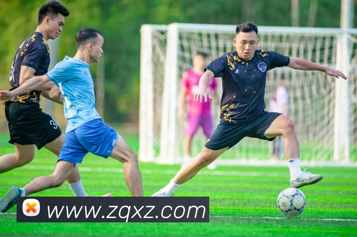 欧宝网平台生态图