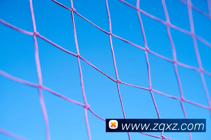 数据防护可视化